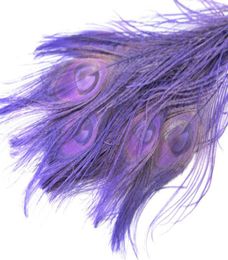 100pcs 1012inch2530cm Lavender Peacock Feather Crafts DisplayJewelry Party Event Fours Costumes décor6078939
