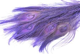 100pcs 1012inch2530cm Lavender Peacock Feather Crafts DisplayJewelry Party Event Fournitures Costumes décor5014443