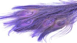 100pcs 1012inch2530cm Lavender Peacock Feather Crafts DisplayJewelry Party Event Fours Costumes décor7032386