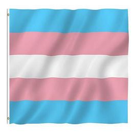 100 stcs 3x5 ft bries Transgender vlag roze blauwe regenboogvlaggen LGBT Pride Banner vlaggen met messing doorvoertules