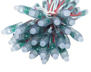 Gratis verzending 100 stks 5v 12V WS2801 12mm modules Diffused Digital RGB LED Pixel String Light Individueel LED-module 50pcs / String IP68