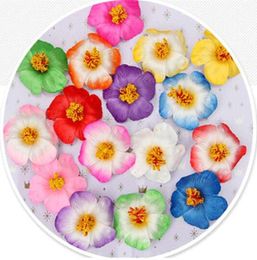 100pcs 9cm Frangipane Frangipani Fleur Sinensis Tête de fleur artificielle Hibiscus 16 Colors2712196