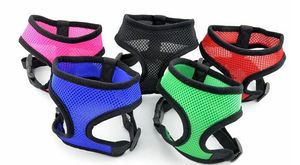 100 stks Nieuwe Hond Harnas Mesh Comfort Safety Pet Hond Kat Puppy Harnas Verstelbare XS S M L XL