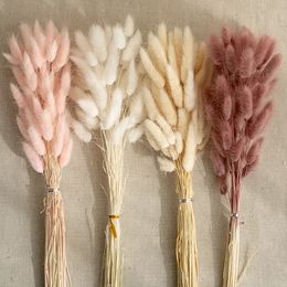 100pcs fleur séchée Lapin Table de queue de queue Decoration Pampas Fluffy Grass for Floral Arrangement Sèche Bunny Tails Mariage Décor de maison 240409