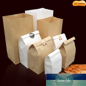 Sac en papier kraft fin, 100 pièces, sac cadeau de vacances pour aliments, pain sandwich, bonbons, papier d'emballage sec recyclable pour fête