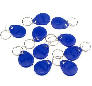 100 stks ISO11785 TK4100 Kaarten / EM4100 125KHZ Custom Sleutelhanger Nabijheid FOB ABS Tags RFID Office Access Control Key Tag