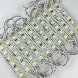 100 stks / partij LED-module 5050 6 LED DC12V Waterdichte Advertentie Design LED-modules Super Bright Lighting