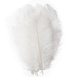 Plumes d'autruche blanches naturelles, 100 pièces/lot, décoration de fête Simple, 20-25cm, plumes colorées, Plumage de mariage, célébration décorative BJ