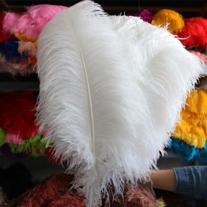 Plumes d'autruche blanches naturelles, 100 pièces/lot, décor de fête Simple, 20-25cm, plumes colorées, décoration de Plumage de mariage, célébration décorative, meilleure qualité