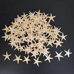 100 Uds Mini estrella de mar decoración artesanal estrellas naturales DIY playa cabaña decoración de boda manualidades