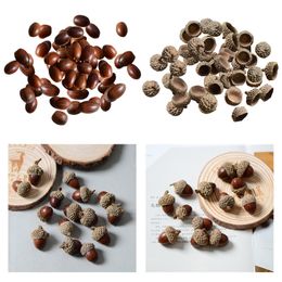 100pcs Aconnes naturelles en vrac Rustique Caporns Home Wedding Diy Festival de Noël Cuisine Table Discat Embellissements décor