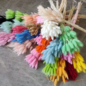 100 piezas Pampas Natural Grass Flower Lyly Rabbit Tail Bouquet Floral Wedding Home Decorations Po Props Plantas de cola de conejito 240409