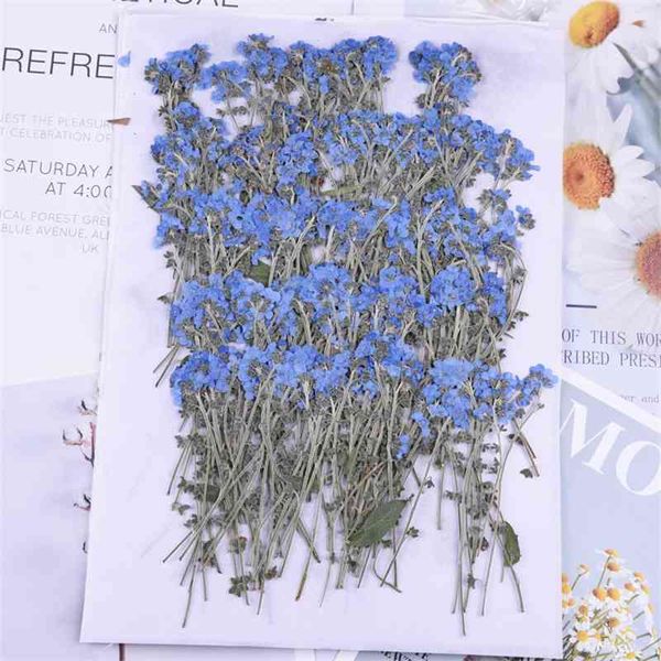 100pcs, fleurs naturelles pressées myosotis avec tige, vraie fleur séchée pour invitation de mariage bricolage artisanat signet cartes-cadeaux 210624