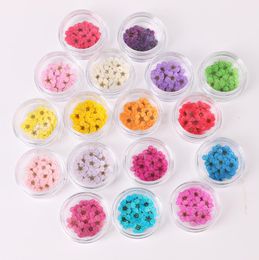 100pcs Flor de flor de ciruela seca de 100 piezas con caja para joyas de resina epoxi que fabrican accesorios de bricolaje de arte de arte de uñas