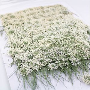 100 uds, flores de encaje blanco prensado con tallo, flor Real natural para invitación de boda DIY arte marcapáginas tarjeta de regalo, velas perfumadas 210317