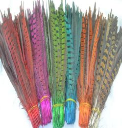 100pcslot 5055cm rouge orange rose rose royal violet turquoise jaune citron vert rinneck joasan tail peathers4478509