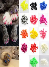 100pcslot coloré pour animaux de compagnie Softs Cats chaton griffes de patte de contrôle Caps de clous de couverture xsxxl avec adhésif glue4903839