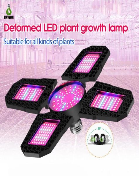 100W 120W 150W LED élèvent des lumières légères de plante 180LED 210LED 240LED s E27 ampoule Phytolamp rouge bleu pour serre intérieure légumes Seed7040279