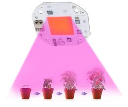 100W 70W 50W COB LED Grow Light Welding Free 220V 110V Cip para plantas Cultivo de la carpa de luz Fitolamp LED LED