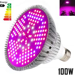 100W LED Grow Gloeilamp Volledige SpectraMe26 / E27 Socket Grow Lamp voor Hydroponic Indoor Garden Greenhouse Succulent Veg Bloem