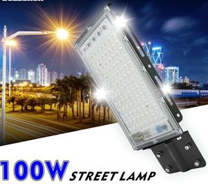 100W LED Street Light AC 220V-240V Outdoor Floodlight Spotlight IP65 Waterdichte Wandlicht Garden Road Pathway Spot Lights