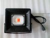 US plug 50W 110V