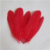 Red Goose feathers
