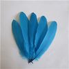 Lake blue Goose feathers