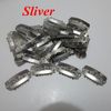 Sliver