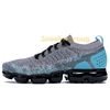 P7-Dusty Cactus