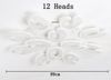 12 Heads 108W