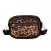 leopard Brown