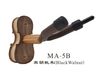 Black walnut