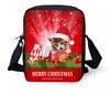Brown cat bag
