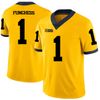 Devin Funchess