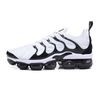 40-45 Zebra