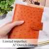 Ostrich Orange1