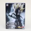 1834 vegeta box
