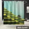 Bath Curtain