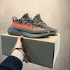 BELUGA