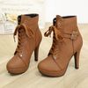 Brown 2