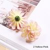 Yellow Pink
