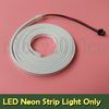 LED Neon Light Only