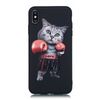 Boxing Cat
