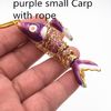 ロープで紫の鯉