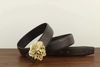 gold buckle brown