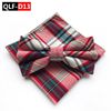QLF-D13