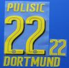#22 PULISIC