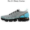 No.11-Dusty Cactus