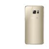 Gold Color With Lens
